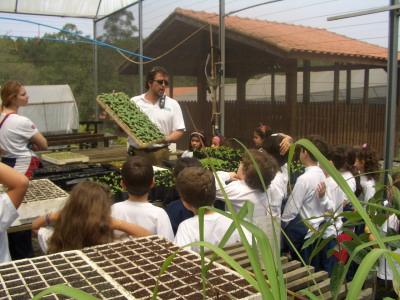 Instituto Brasileiro de Turismo Educacional e Pedagógico